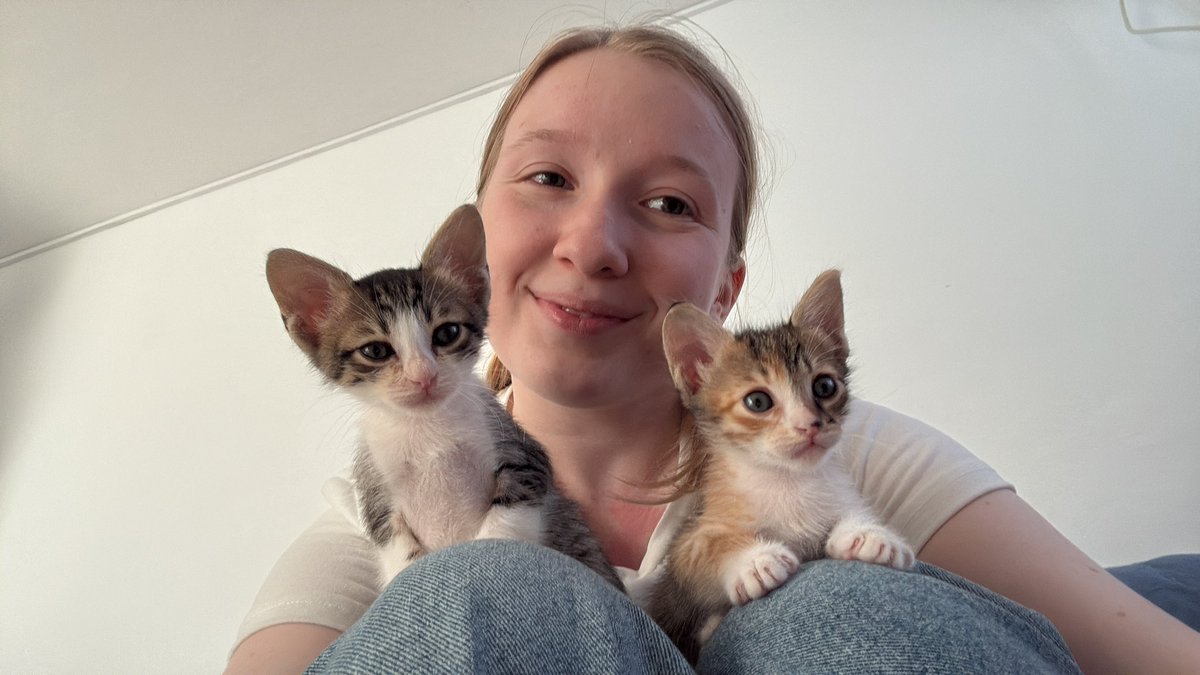 ליטל 🐈 tweet media