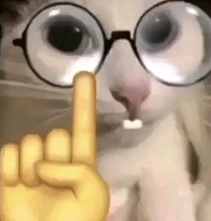 𝑪𝒆𝒍𝒆𝒔𝒕𝒆 tweet media