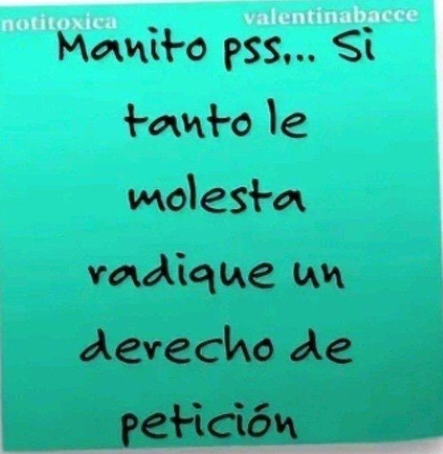 Nunca entenderán la fucking vibra