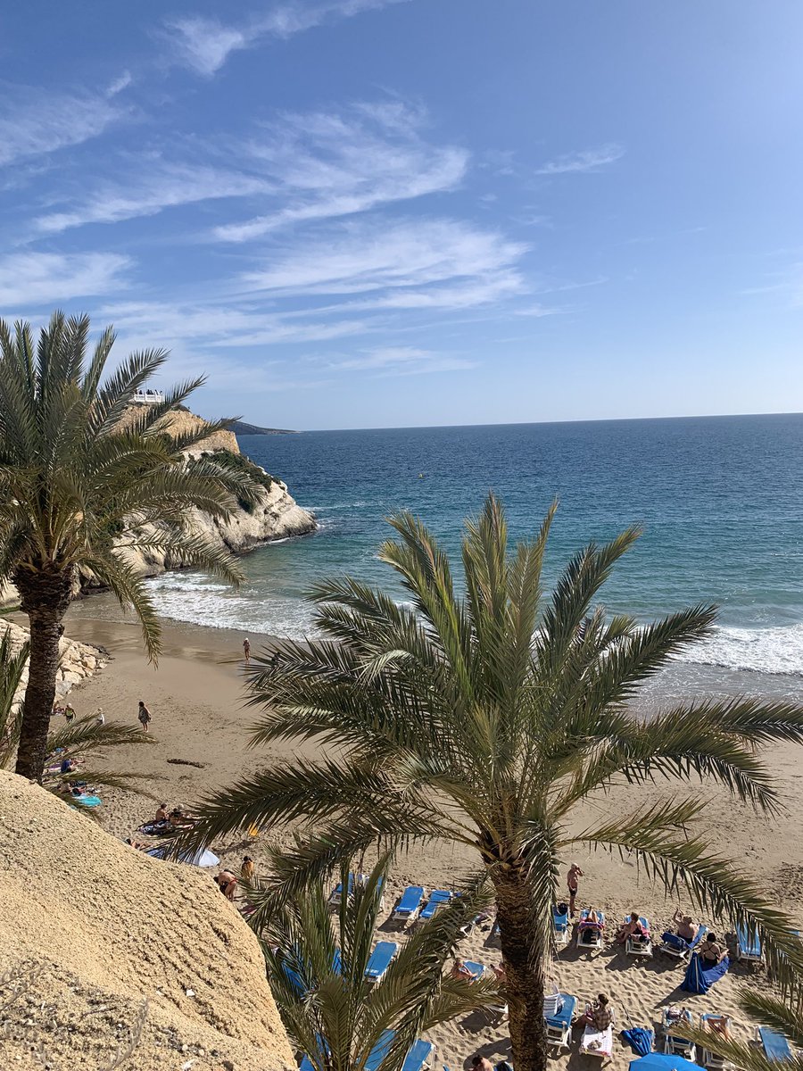 Sandra D. tweet media