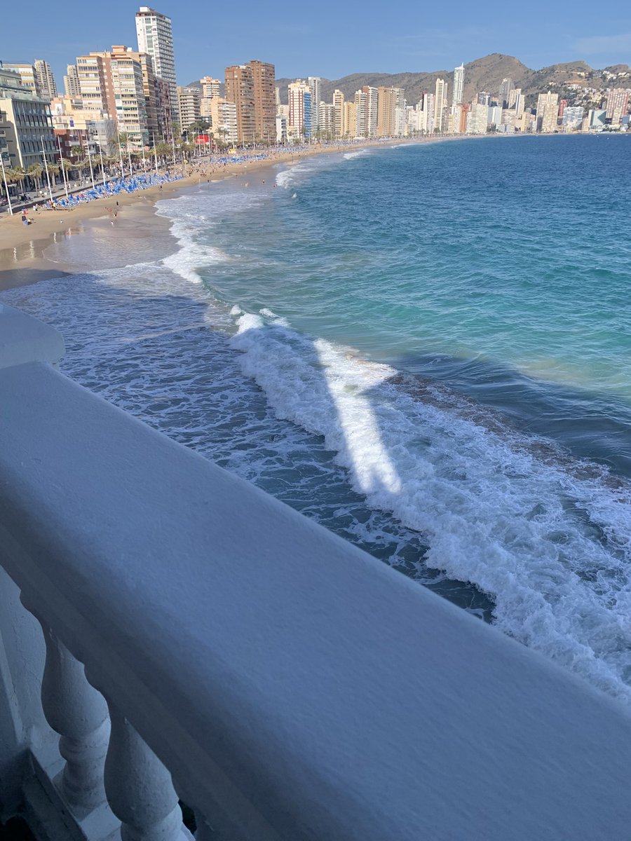 Sandra D. tweet media