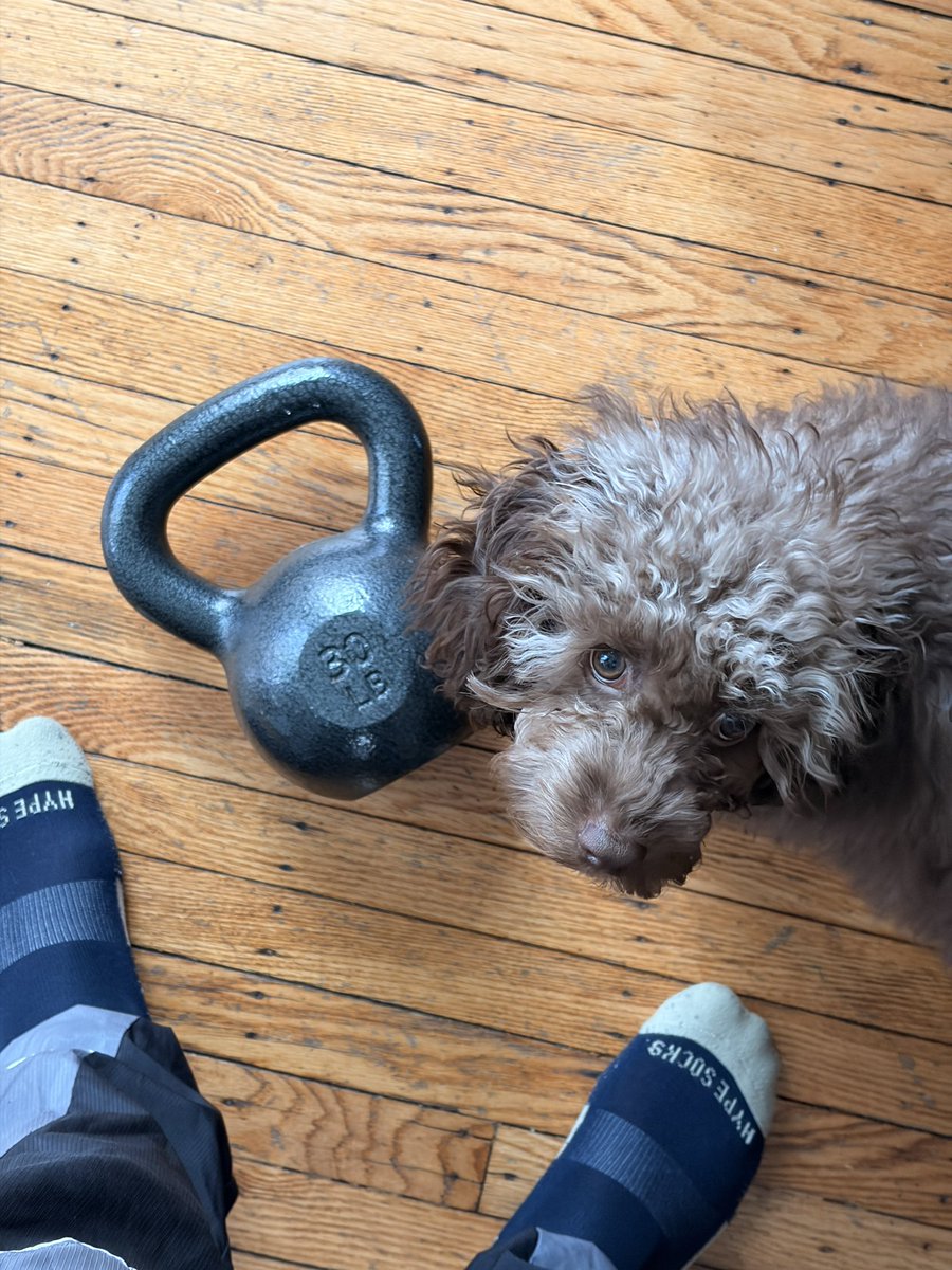 HitTheGasNaj tweet media