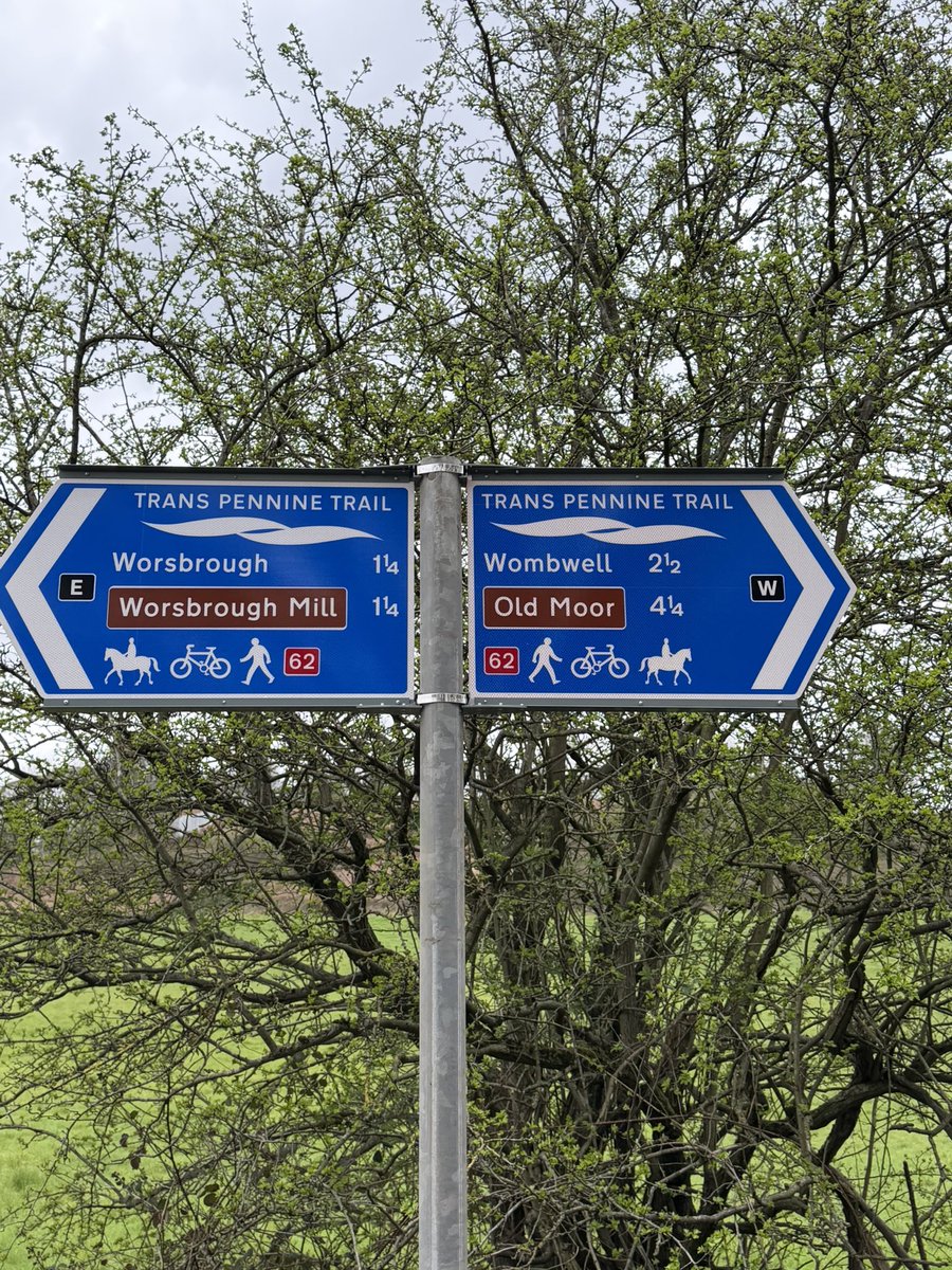 Stevie Spence tweet media