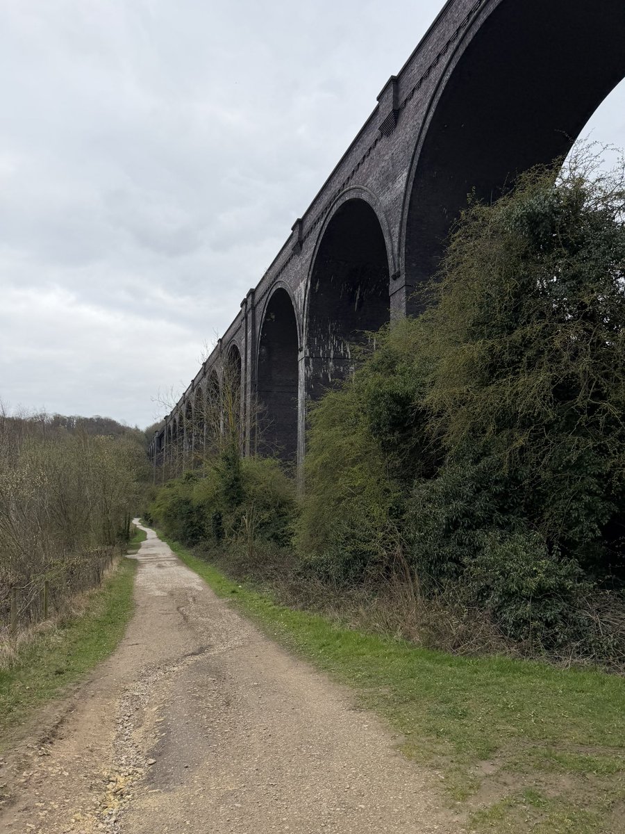 Stevie Spence tweet media