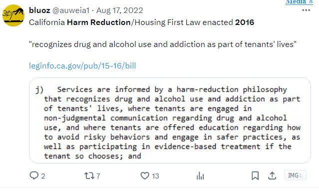 T Wolf 🌁 tweet media