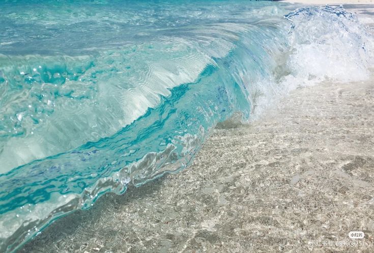 ocean tweet media
