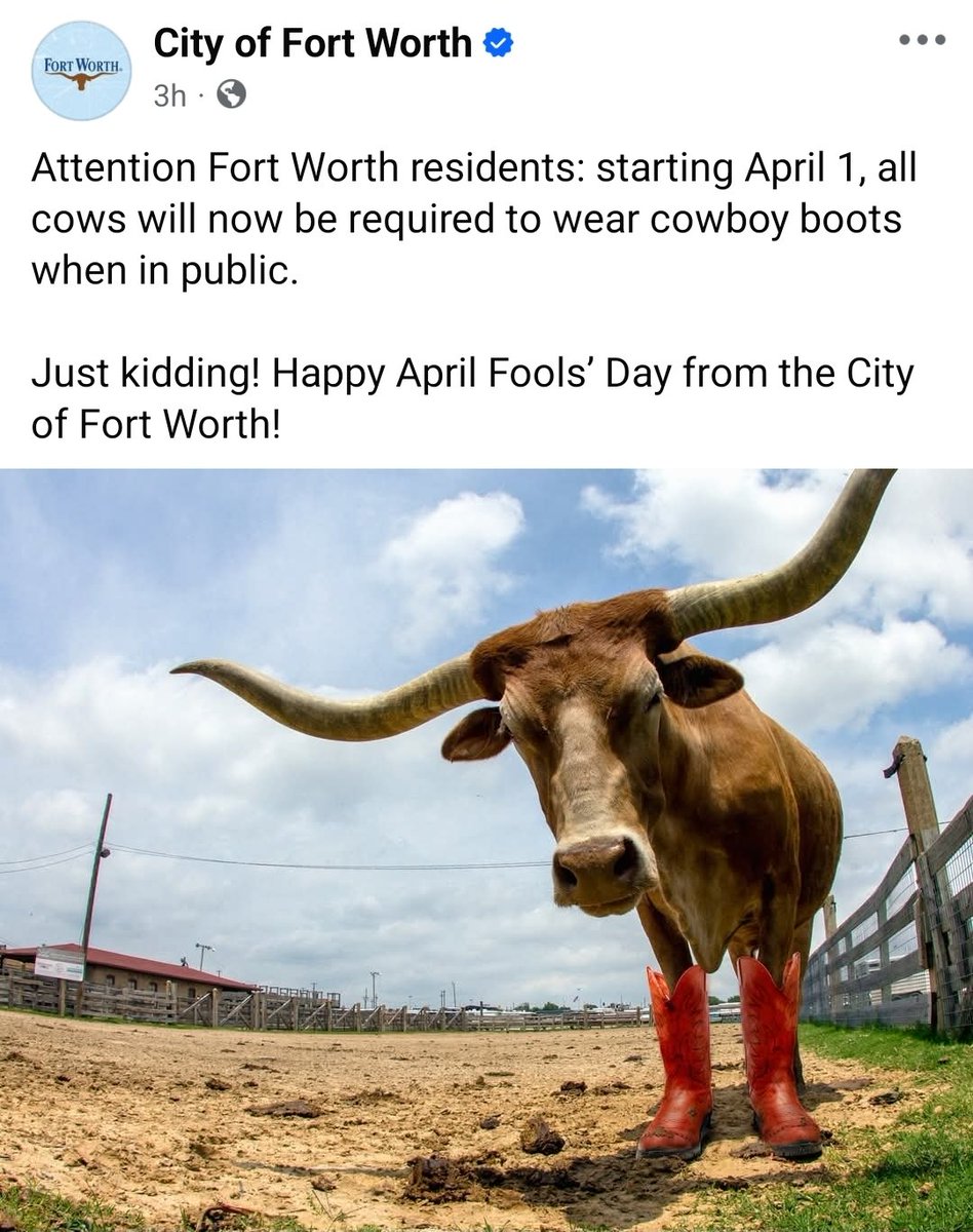 Ashley Ayala tweet media