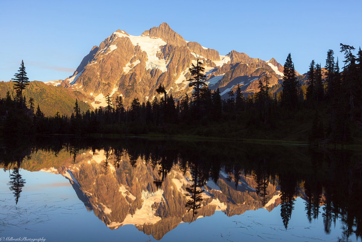 Ben Milbrath tweet media