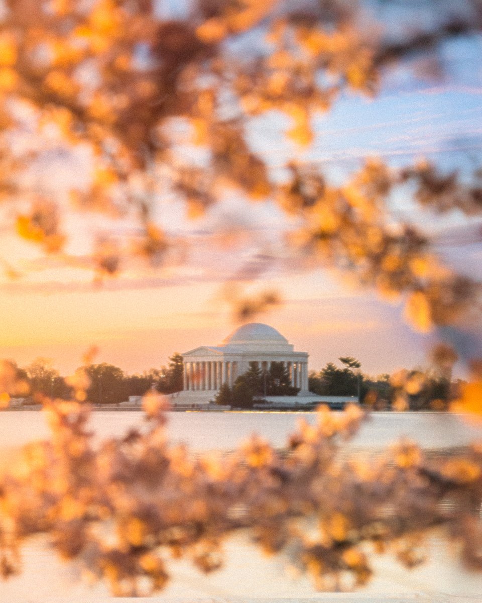 washingtondc's tweet image. Reasons to visit #WashingtonDC this April. 💐☀️

⚾️ @nationals Home Opener at @nationalspark (4/3)
🌸 National Cherry Blossom Festival @cherryblossfest (3/20-4/12)
🧶 Smithsonian Craft Show at the @BuildingMuseum  (4/22-4/26)

🔗 to even more: bit.ly/3ptIOFJ

#Only1DC