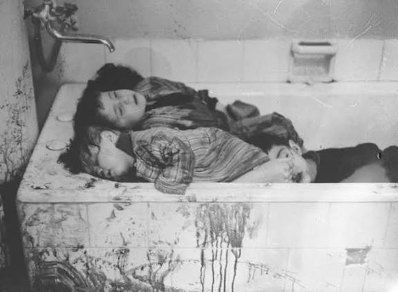 The Babo tweet media