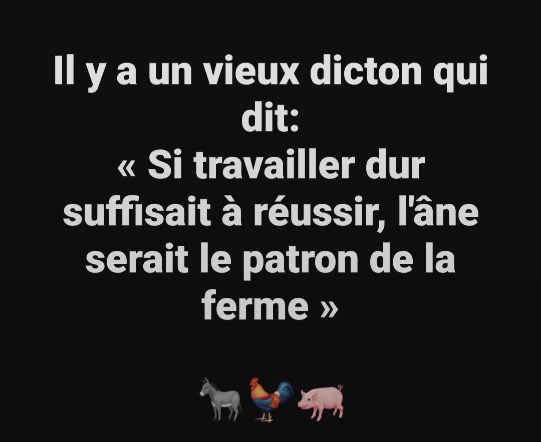 Sagesse Pure tweet media