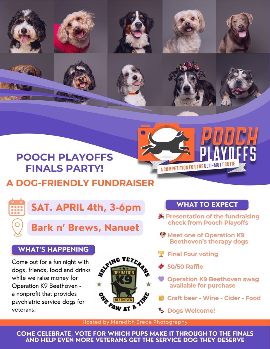 K9Beethoven's tweet photo. 🐾 We need your help deciding who advances in Pooch Playoffs!

These dogs are competing in a March Madness bracket-style fundraiser I created and the voting has just begun!!

Every vote supports Operation K9 Beethoven— helping provide psychiatric service dogs to veterans. 

VOTE HERE:
👉 https://t.co/07vuJSvoHD

Important question…

Which dog should win? Comment below👇
(seriously — the competition is tight)

Also come celebrate the Final Four dogs with us Saturday, April 4 from 3-6pm at Bark ‘n Brews dog park + cafe in Nanuet!