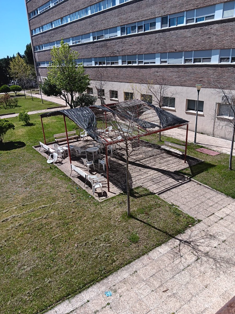 Mercedes Huertas Aguilera 💜🔻 tweet media