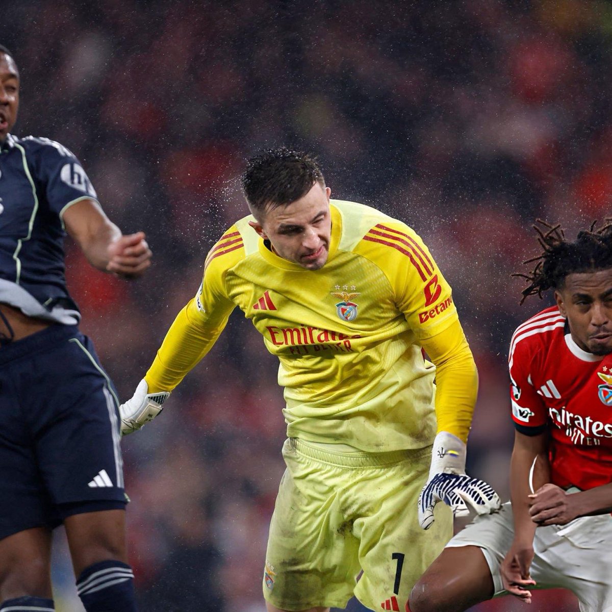 PLUS Benfica tweet media