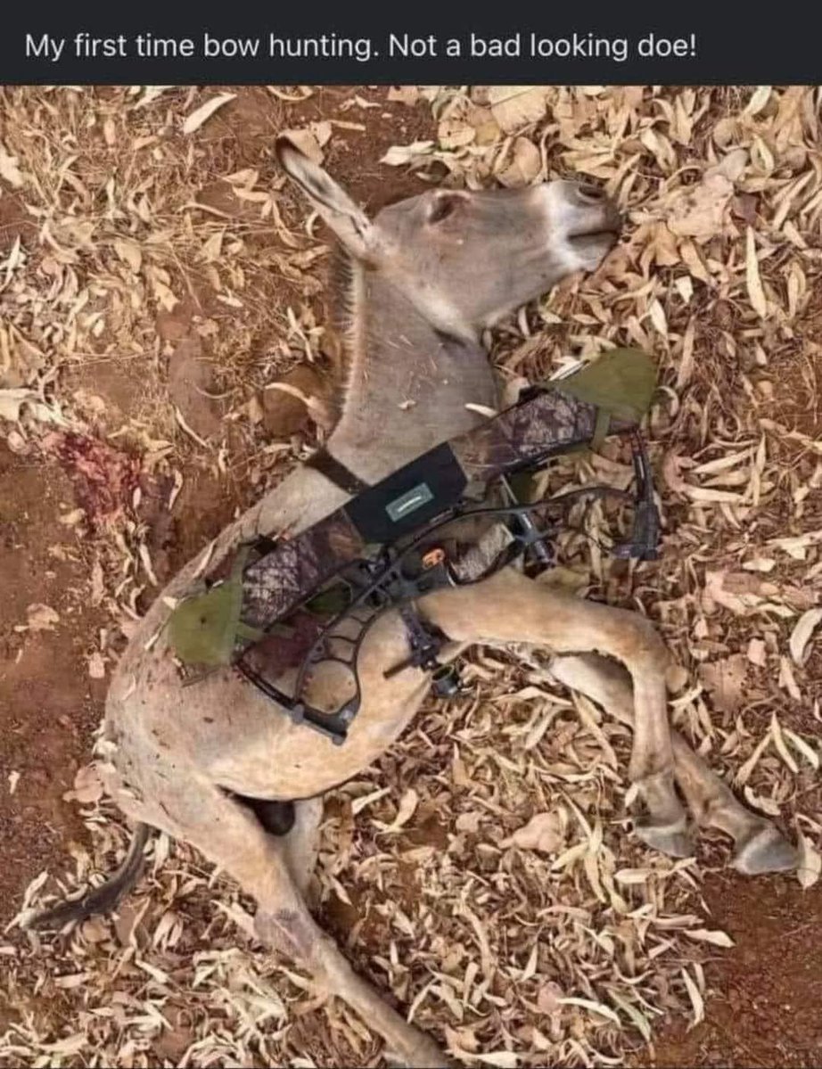 Fatoldhooker 🏴󠁧󠁢󠁳󠁣󠁴󠁿🇺🇸 tweet media