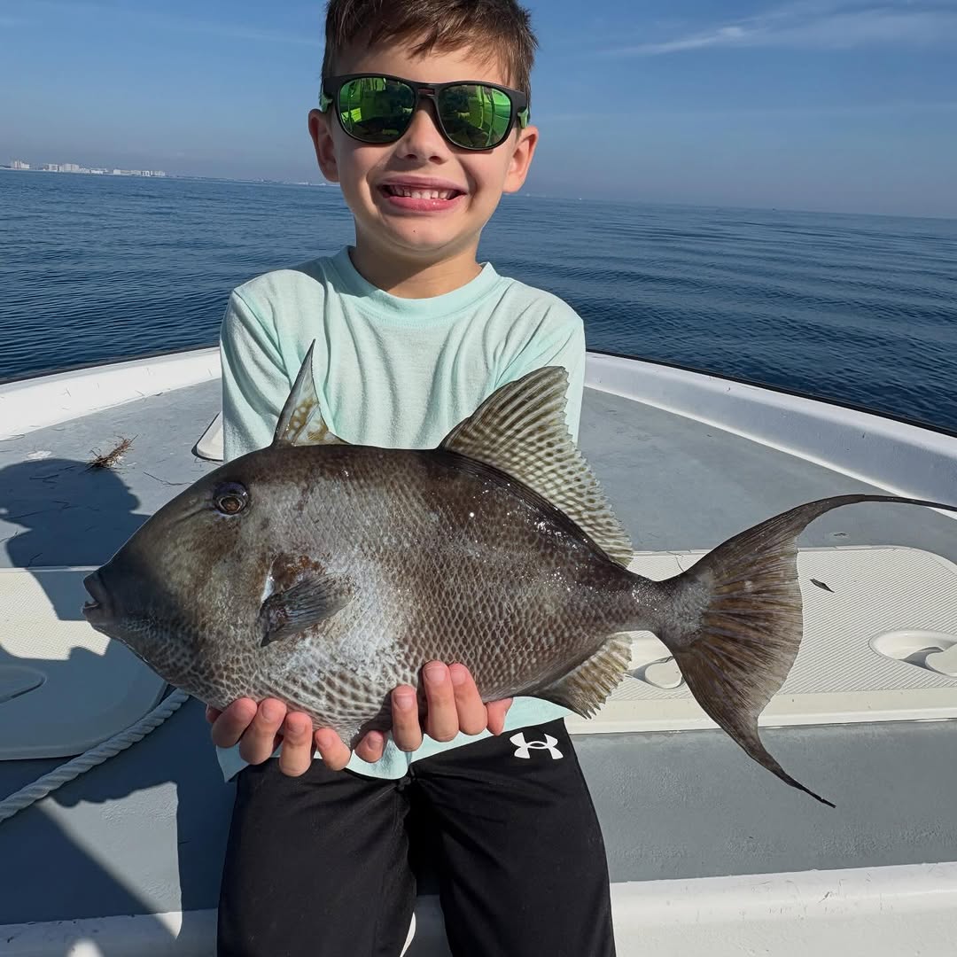 Fishing Niche tweet media