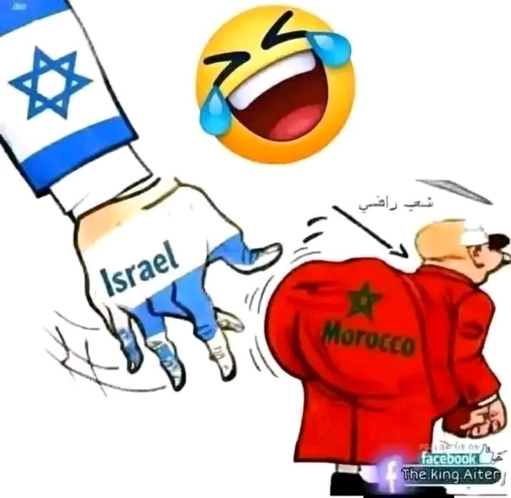 siso zazo tweet media