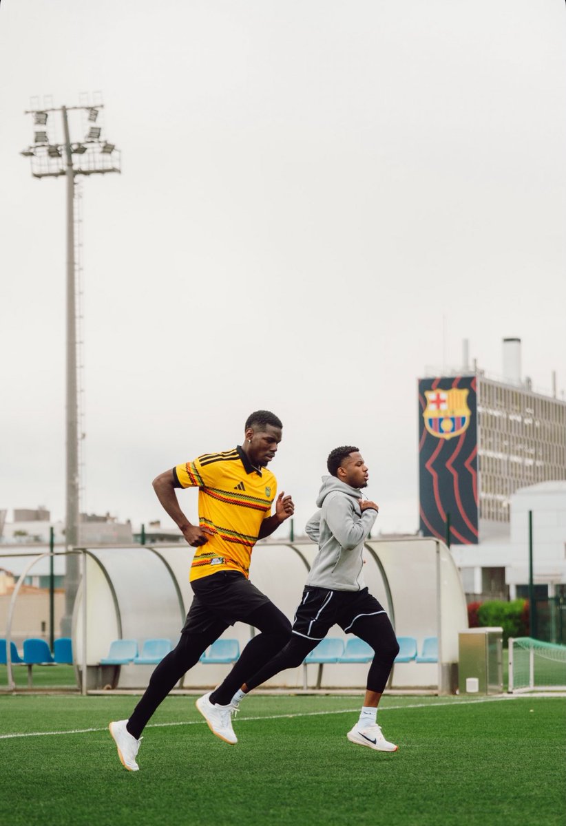 The Tropixs tweet media