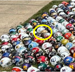 Shadow Forest tweet media