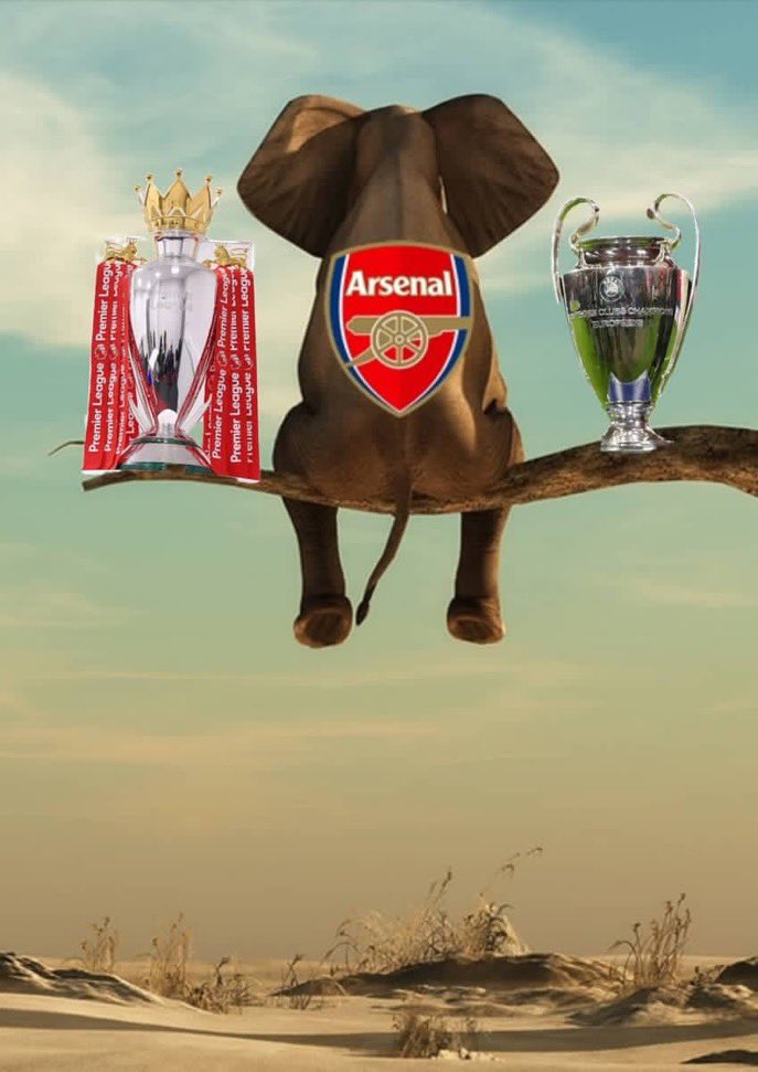 PRINCEWILL 90 🇳🇬 tweet media