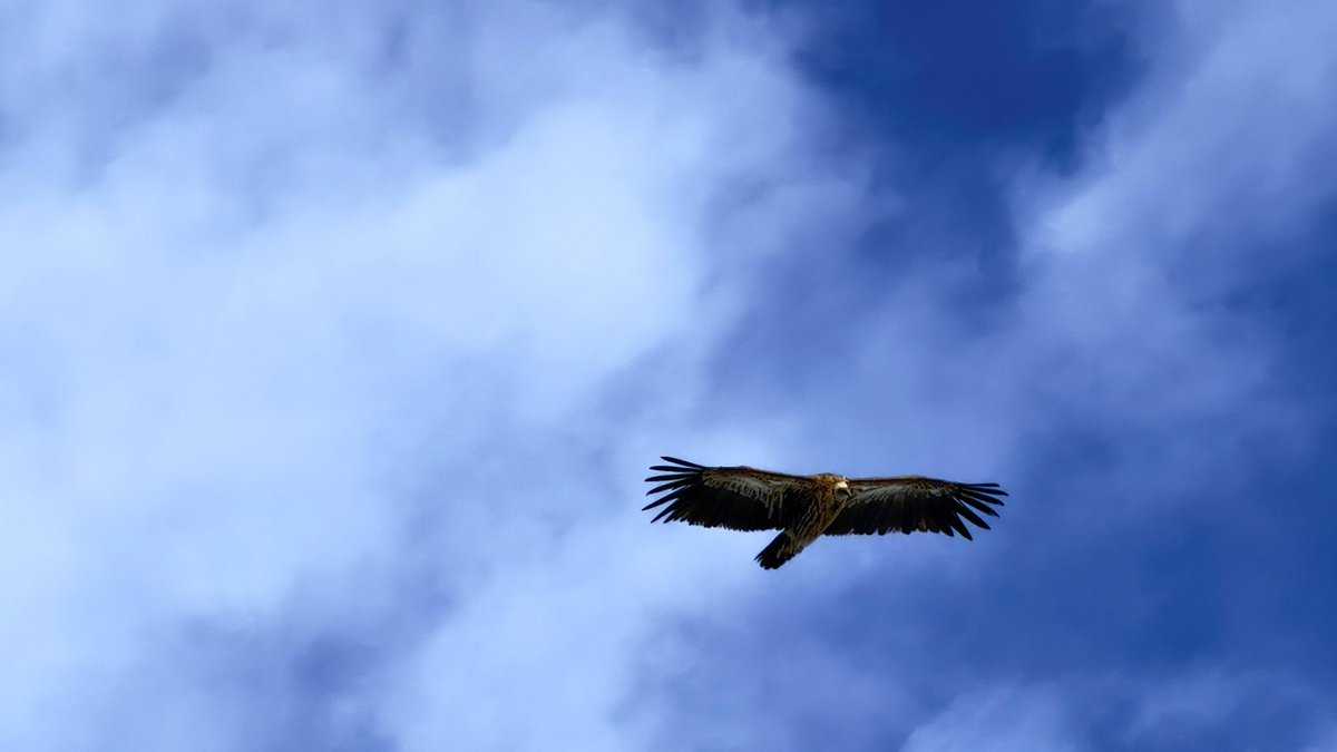 Tanvi 🤸‍♀️ tweet media