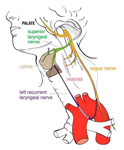 University tweet media