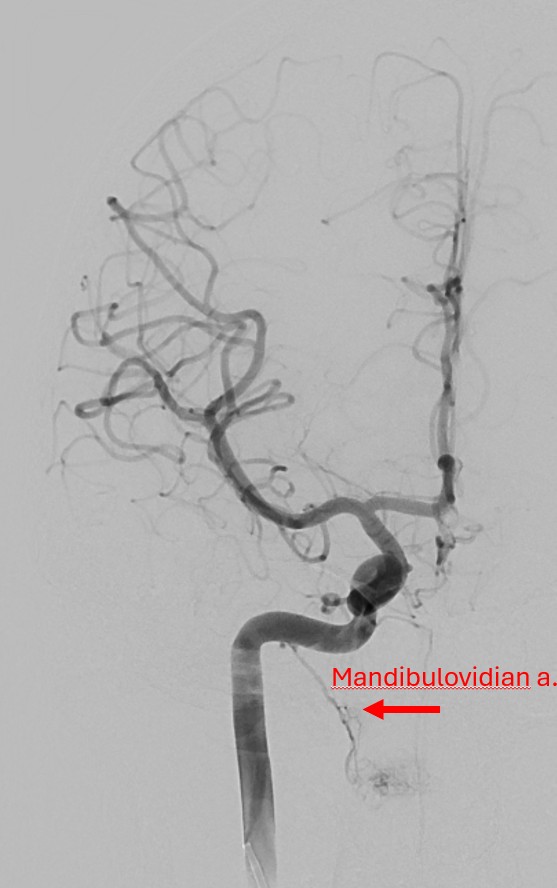 SNIS Info tweet media