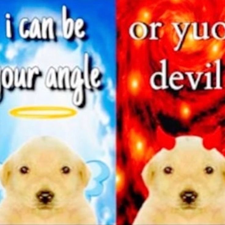 sab ᶻ 𝗓 𐰁 tweet media