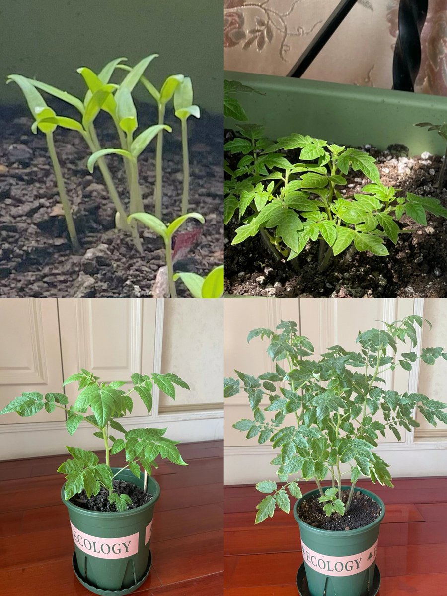 code.defunkt tweet media