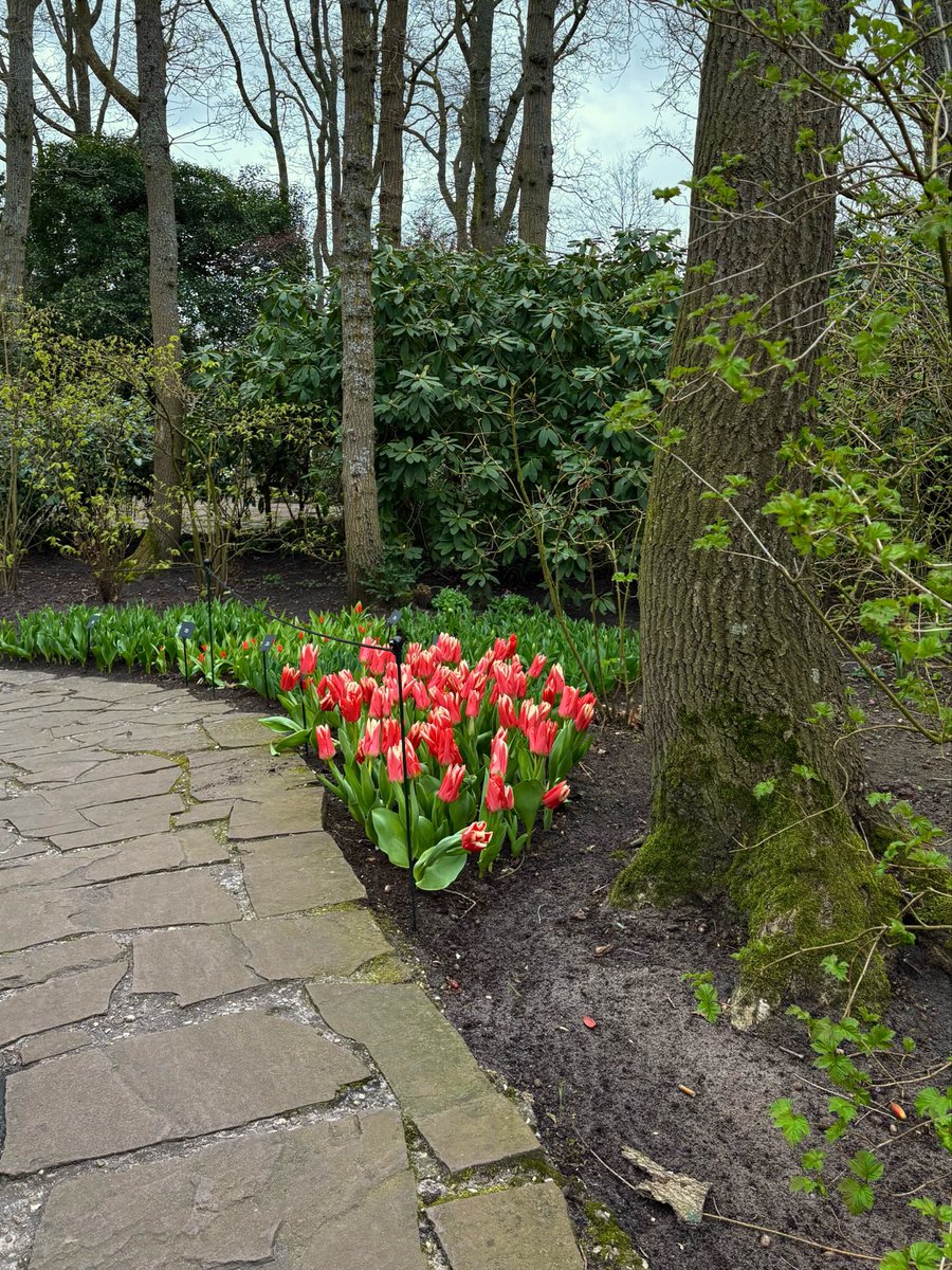 MY DAY 🌷🌷🌷🌷 tweet media