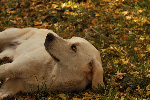 Todd Dortch tweet media