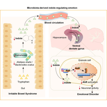 Cell Metabolism tweet media