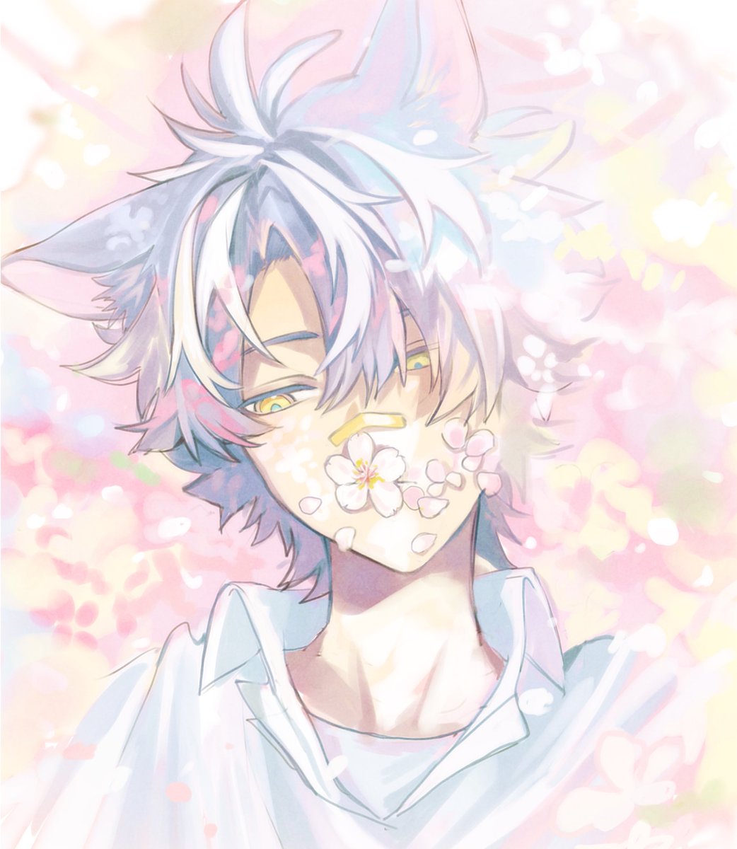 レイン2号 tweet media