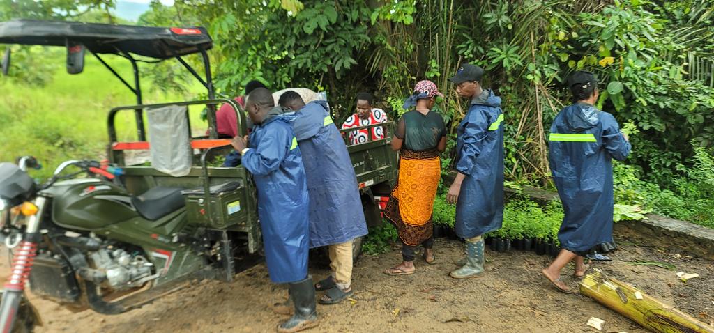 greenforfuturetanzania tweet media