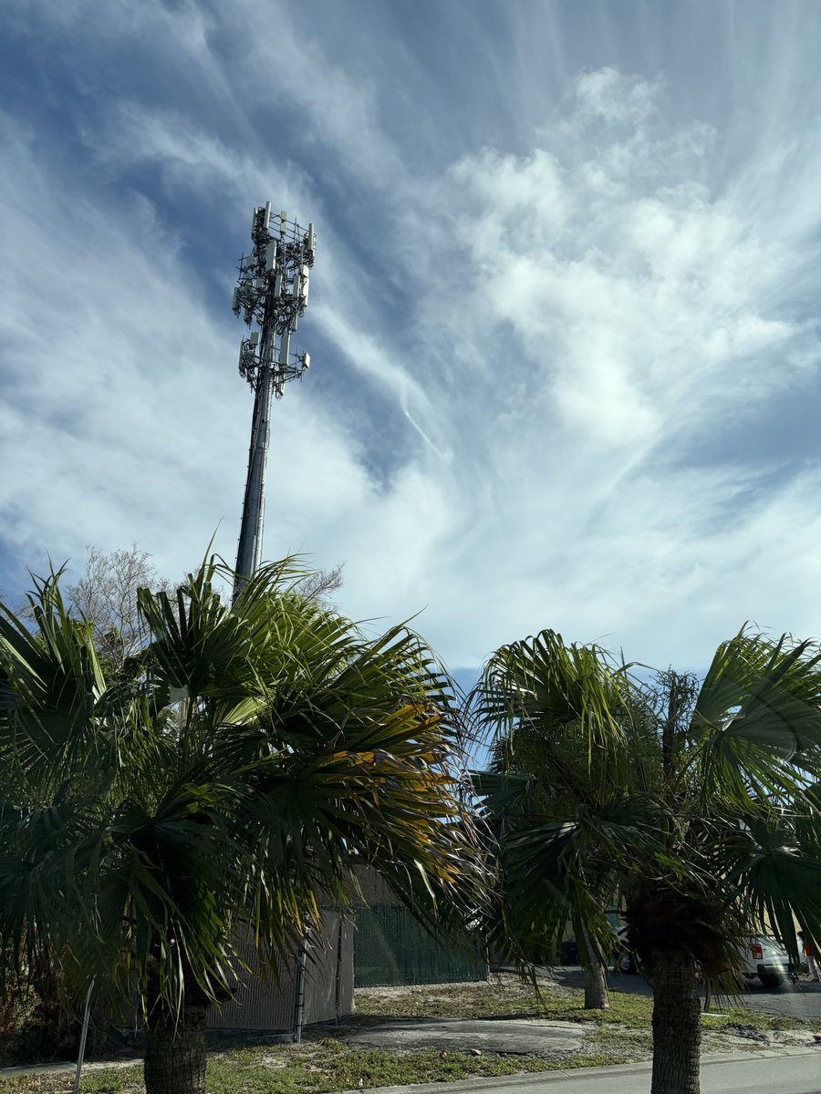 Metamorphic54 tweet media