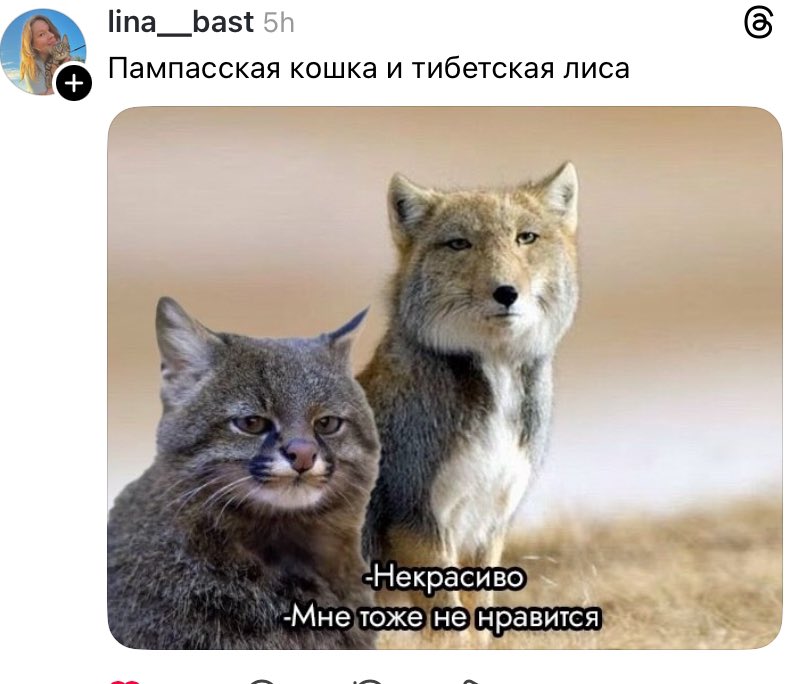 la_sanya's tweet photo. Я и кто https://t.co/uH4vBfNaCp