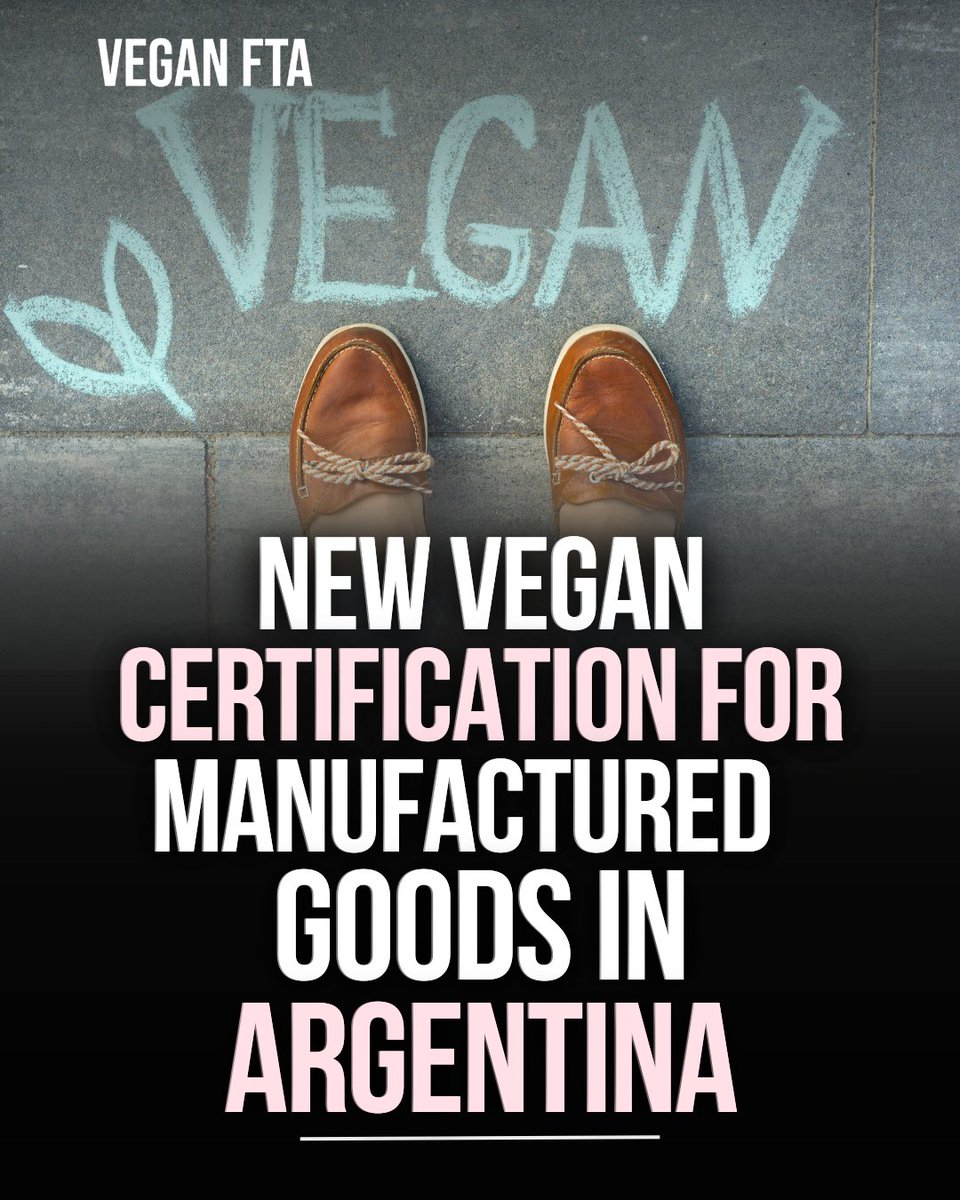 teamveganfta's tweet image. Argentina’s National Institute of Industrial Technology has launched a new Vegan Product Certification scheme for manufactured goods, accessories, and footwear. 🌱

👉 Find out more: f.mtr.cool/vpgvbzilgy

#vegan #argentina #veganism