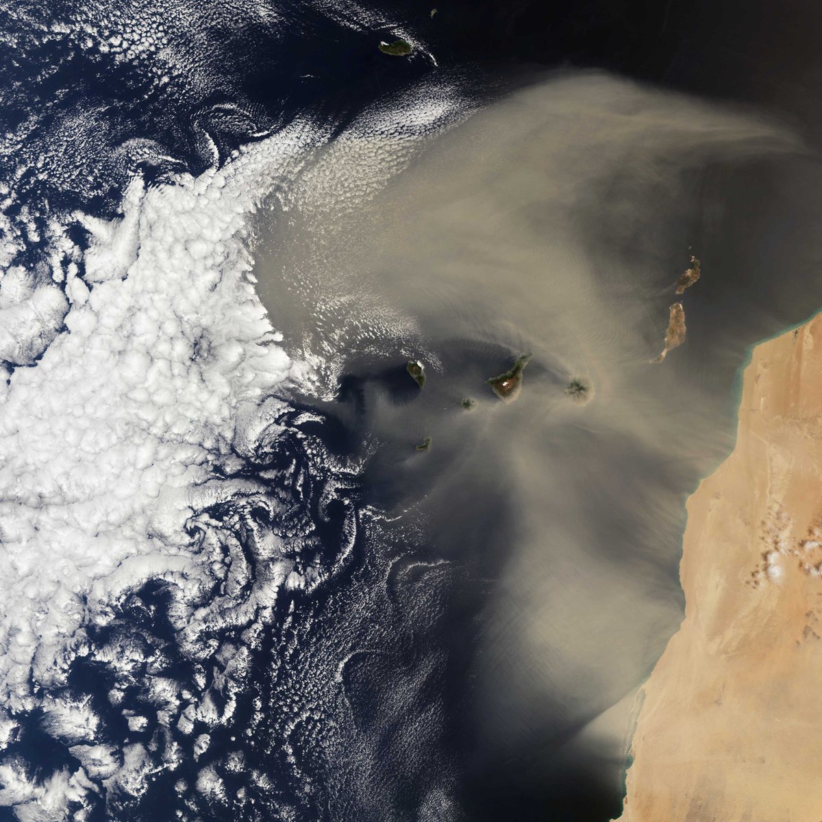 🟠 El satélite Sentinel-3 de <a href="/CopernicusEU/">Copernicus EU</a> ha captado desde el espacion esta imagen que nos recuerda que el #Sáhara llega más lejos de lo que creemos.
1.300km cubren #Canarias
🌫️ <a href="/AEMET_Esp/">AEMET</a> activa avisos amarillos en todo el archipiélago. 

#Calima #CambioClimático #MedioAmbiente