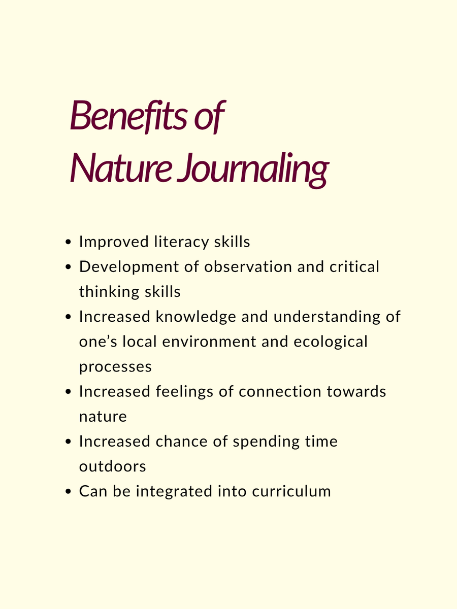 DRI STEM Education Program tweet media