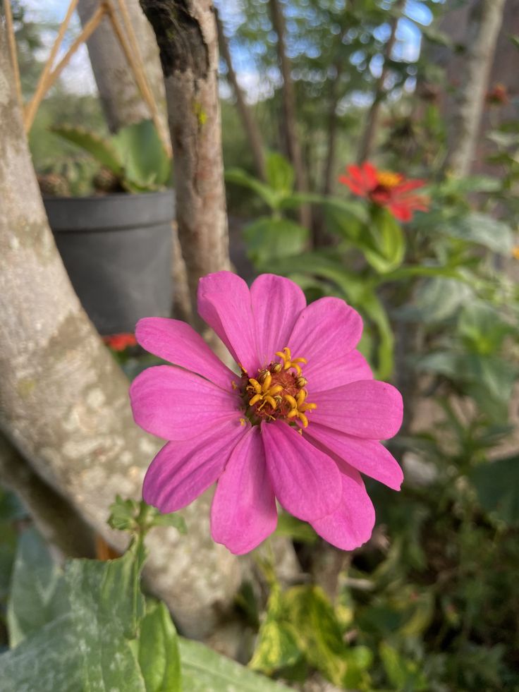 Vanessa Natali tweet media