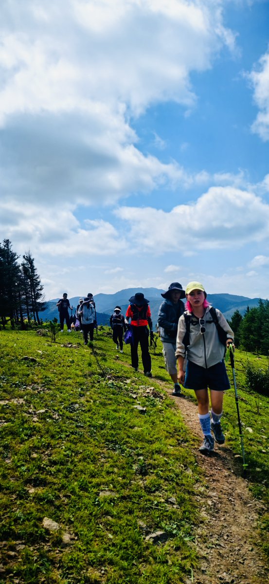 tj frosting tweet media