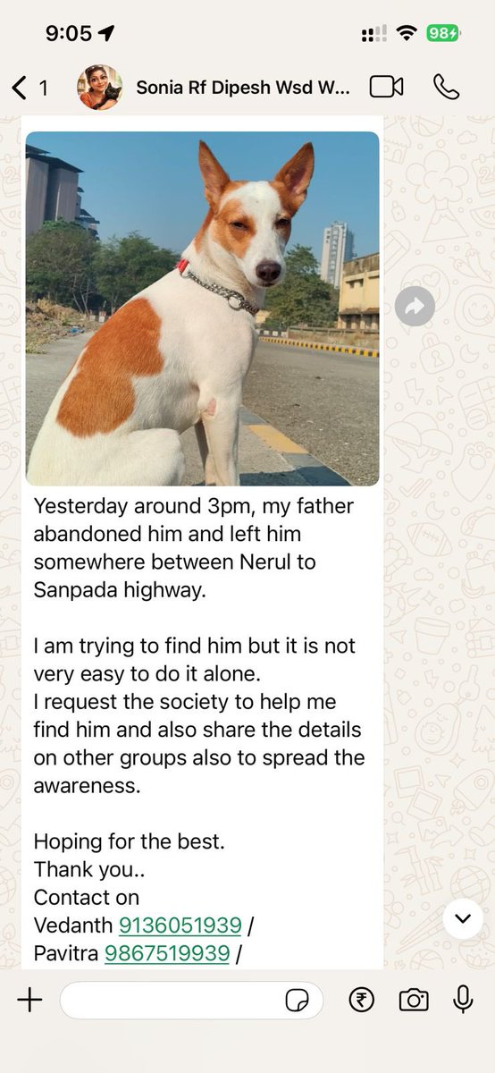 So sad. Please share and help the boy find his best friend.