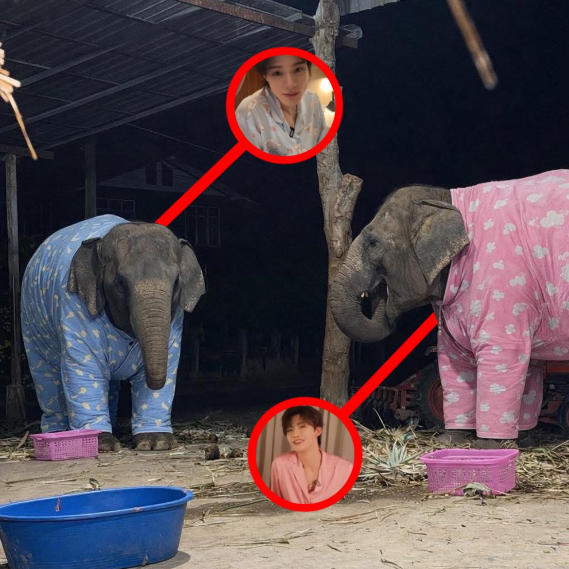 หลวงน้อง beb (´﹃｀) tweet media