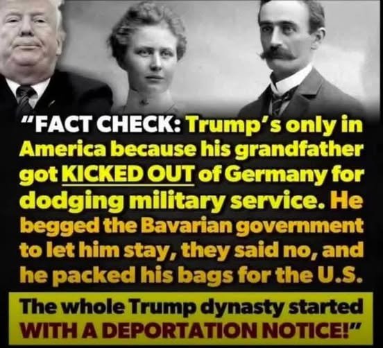 Harry Ford tweet media