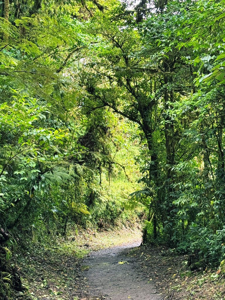 Yael Segal-Ruder tweet media