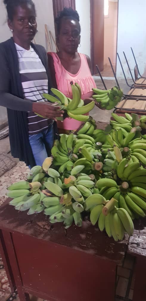 AlimentariMayab's tweet photo. Resulta de la dedicación y el trabajo en el Auto Consumo de la UEB Alimentos Madruga.
Felicidades para ese colectivo, demostrando que si se puede.
#MAYEM
#GenteQueSuma
#Mayabeque
#Cuba https://t.co/DXK0TEz1Ak