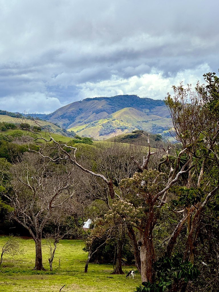 Yael Segal-Ruder tweet media