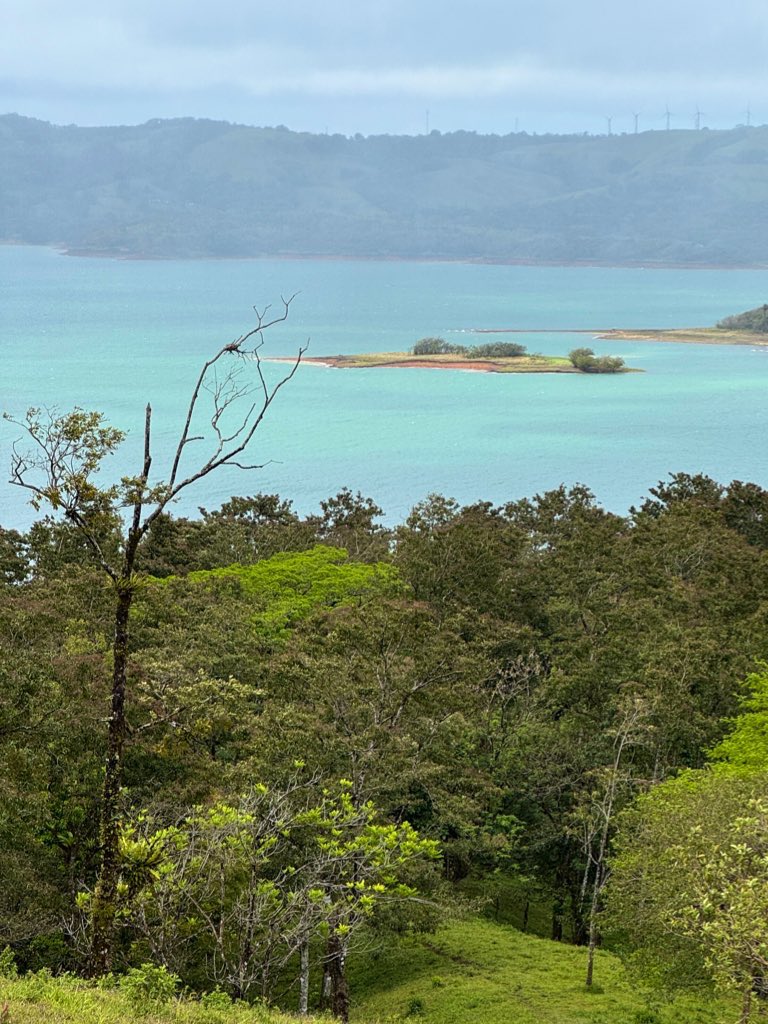 Yael Segal-Ruder tweet media