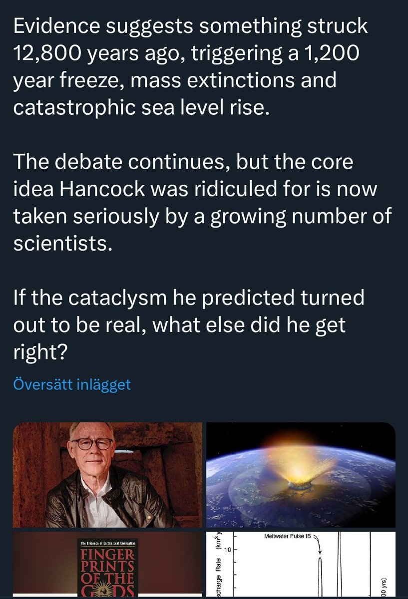 En förvirrad björn i en ofrivärld🍠🏴 tweet media