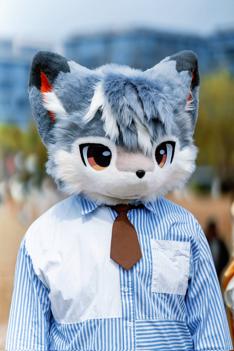 萨摩耶先生 tweet media